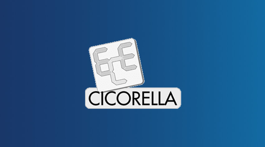 copertina di cicorella
