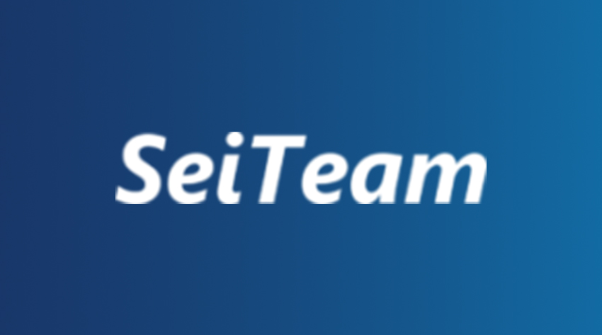copertina di seiteam partner di timenet