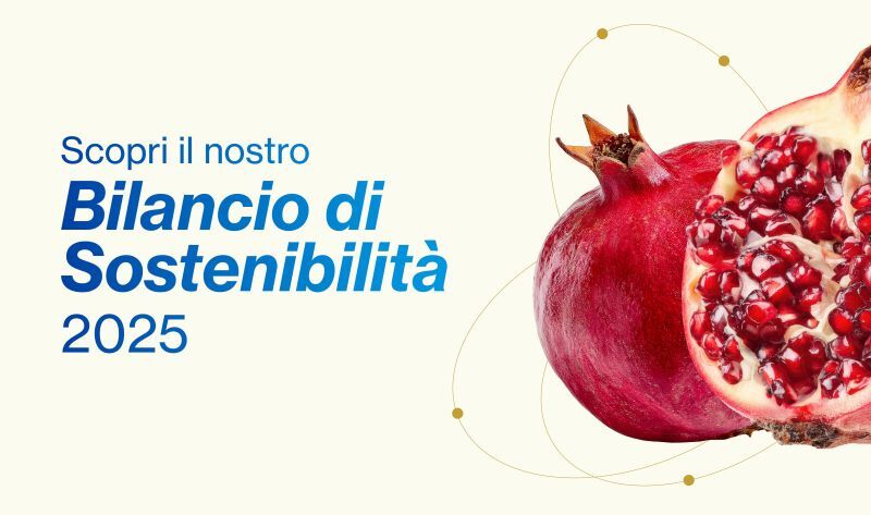 Bilancio di sostenibilità ESG di Timenet SpA